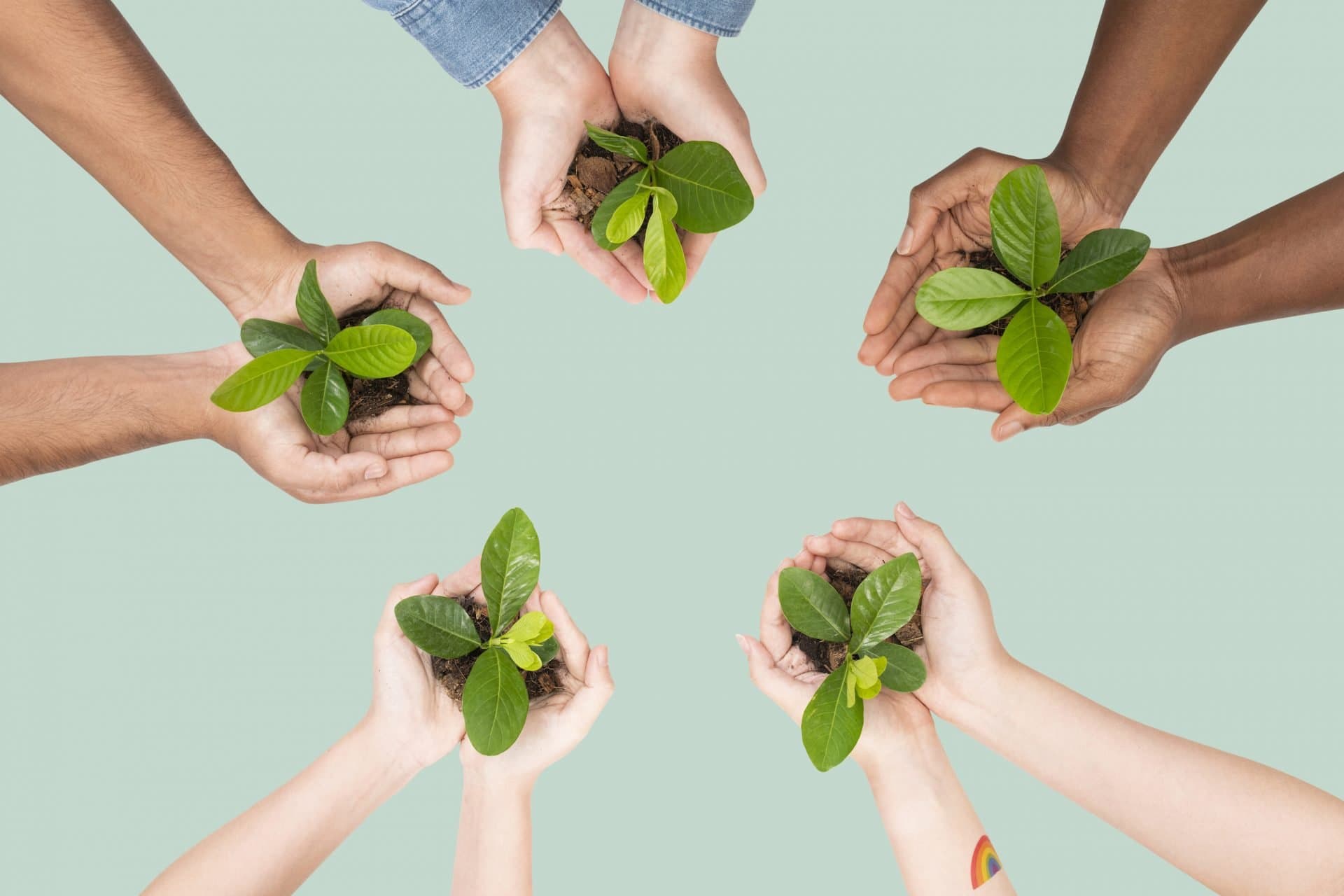 CITIES GO CLIMATE NEUTRAL