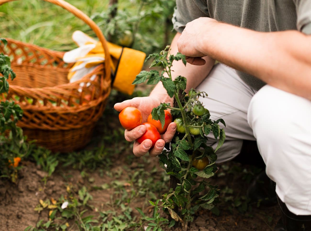 SOWN FUTURES